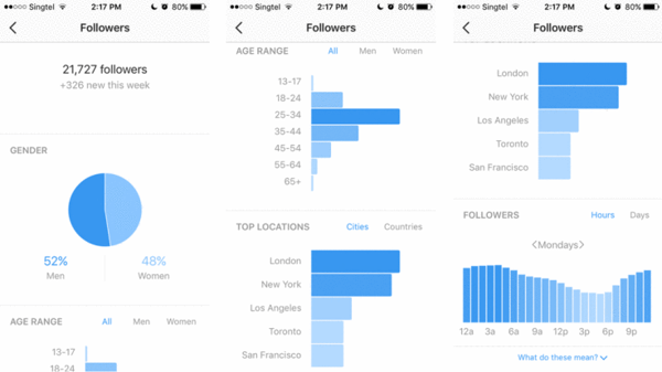 Instagram Insights screenshot