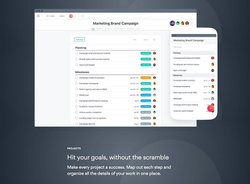 Asana project management tool